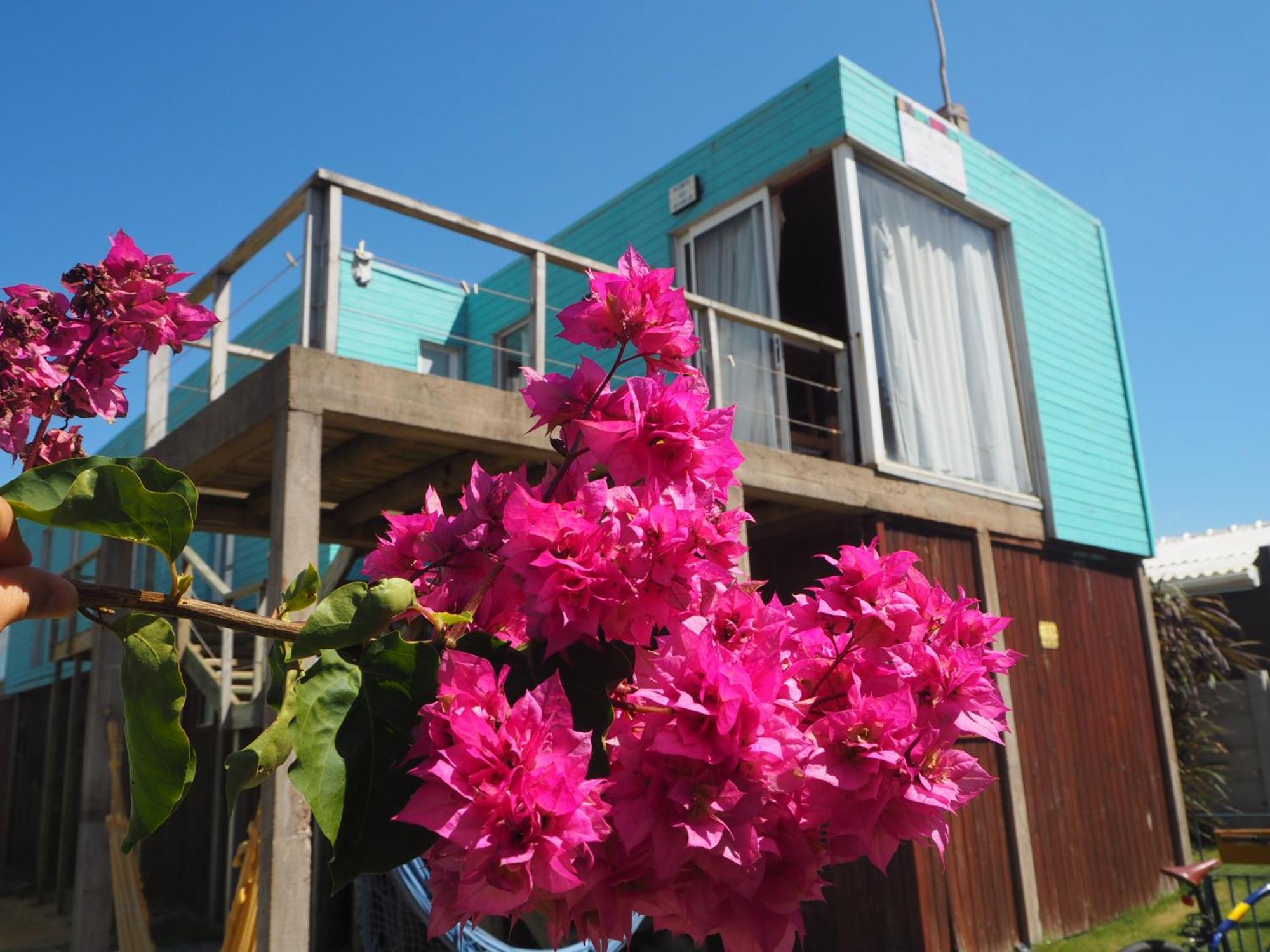 Hostel Vente Al Diablo Punta Del Diablo Exteriör bild