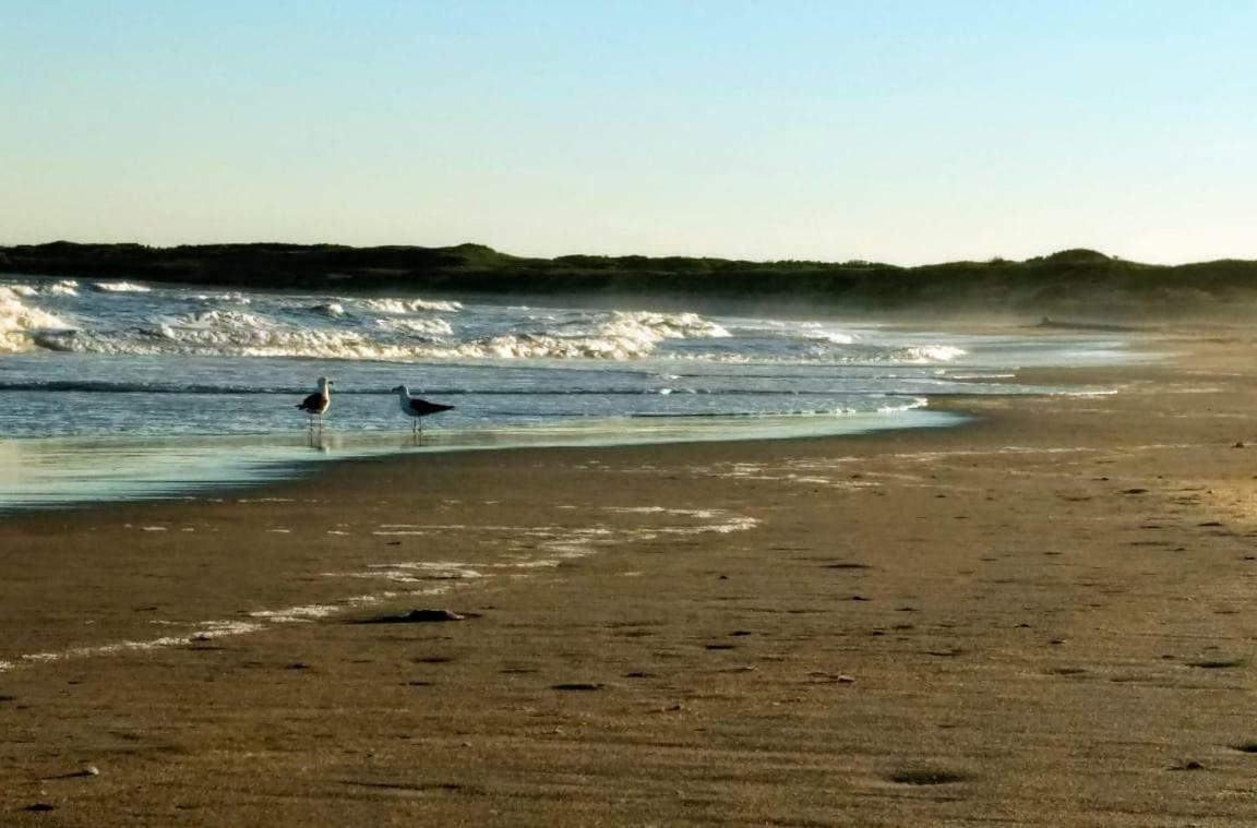 Hostel Vente Al Diablo Punta Del Diablo Exteriör bild